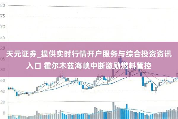 天元证券_提供实时行情开户服务与综合投资资讯入口 霍尔木兹海峡中断激励燃料管控