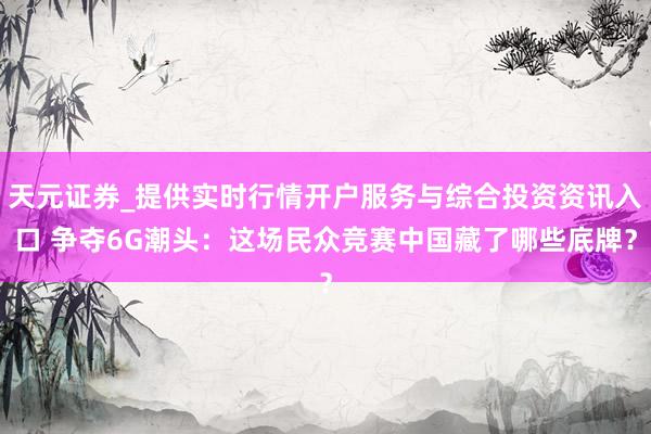天元证券_提供实时行情开户服务与综合投资资讯入口 争夺6G潮头：这场民众竞赛中国藏了哪些底牌？