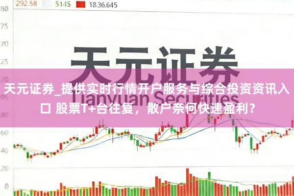 天元证券_提供实时行情开户服务与综合投资资讯入口 股票T+台往复，散户奈何快速盈利？